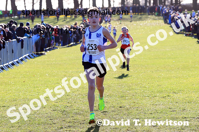 Boys under-13s 2025 Northern Cross Country Champs, Tatton Park, Knutsford, Cheshire. Photo: David T. Hewitson/Sports for All Pics
